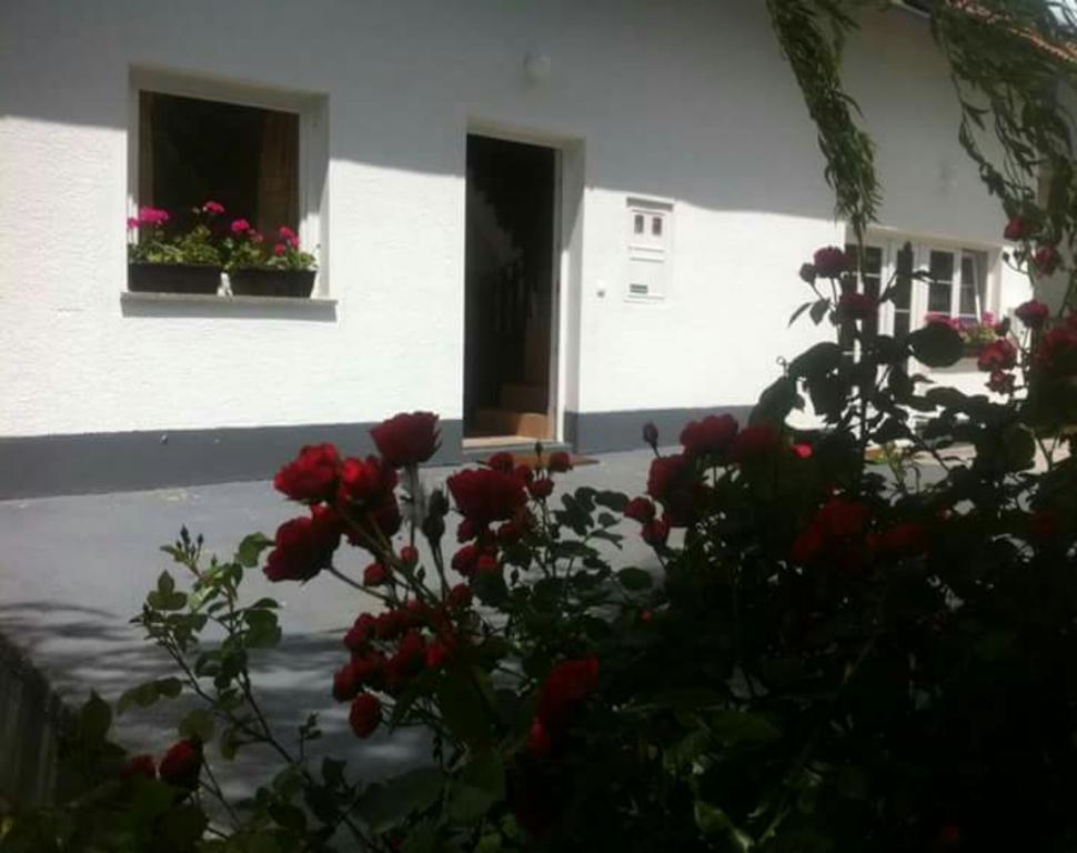 Guest House First Stop Rakovica Exterior foto